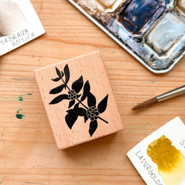 May & Berry Stempel Kaffeepflanze