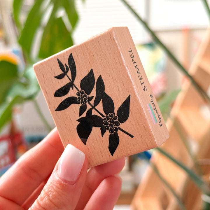 May & Berry Stempel Kaffeepflanze